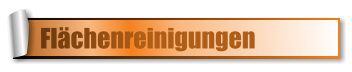 Flchenreinigungen